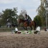 bABIE lATO 2018